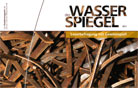Wasserspiegel 2010